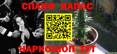 не бодяженный Аша
