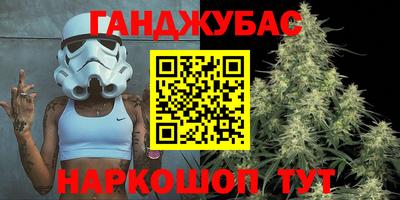 mdpv Ачхой-Мартан