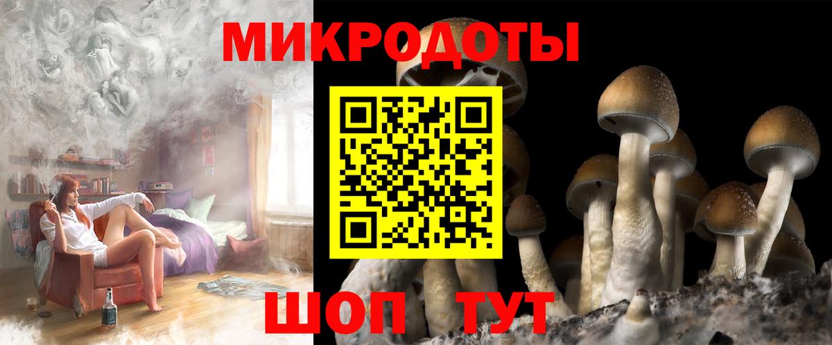 Артёмовский  Псилоцибиновые грибы Magic Shrooms  Вход с VPN  Псилоцибиновые грибы Psilocybe 